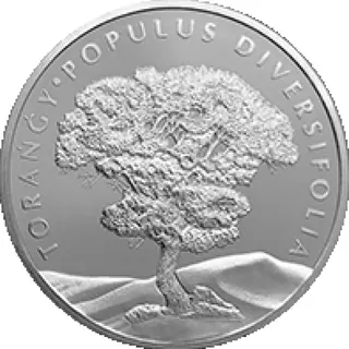 Torańǵy (100), 2020, Сторона 1