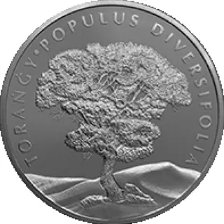 Torańǵy (100), 2020, Сторона 1