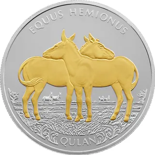 Qulan (200), 2021, Сторона 1