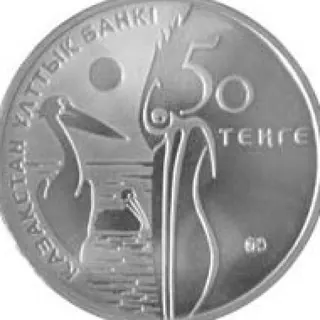 Кудрявый пеликан, 2010, Сторона 2