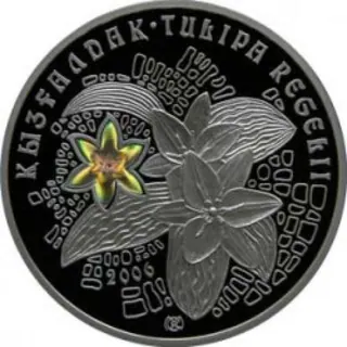 Тюльпан регеля, 2006, Сторона 1