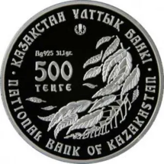 Тюльпан регеля, 2006, Сторона 2