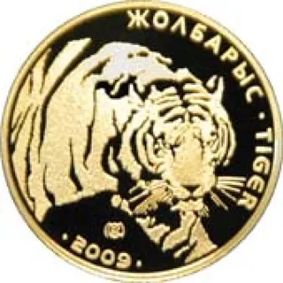 Тигр, 2009, Сторона 1