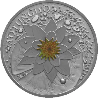 AQ TUŃǴIYQ (Кувшинка белая), 2024, Сторона 1