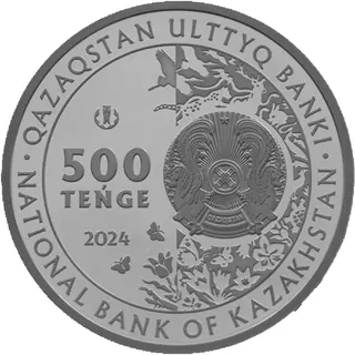 AQ TUŃǴIYQ (Кувшинка белая), 2024, Сторона 2